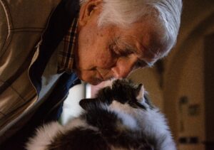 Old man nose-booping a fluffy black and white cat