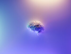 Representation of a human brain on a pretty pastel background