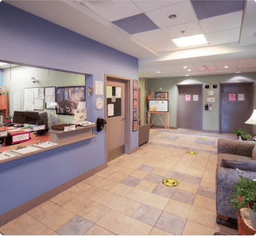 Peacful lavender foyer with elevators and the reception/ front office at the Earl Haig Retirement Residence