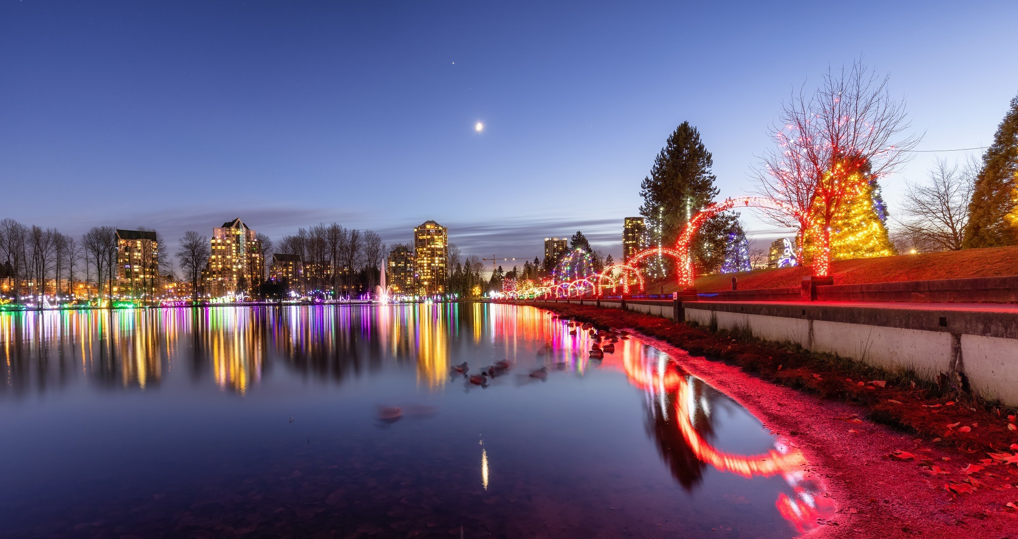 Evening trail in a park around Lafarge Lake with Christmas Lights display