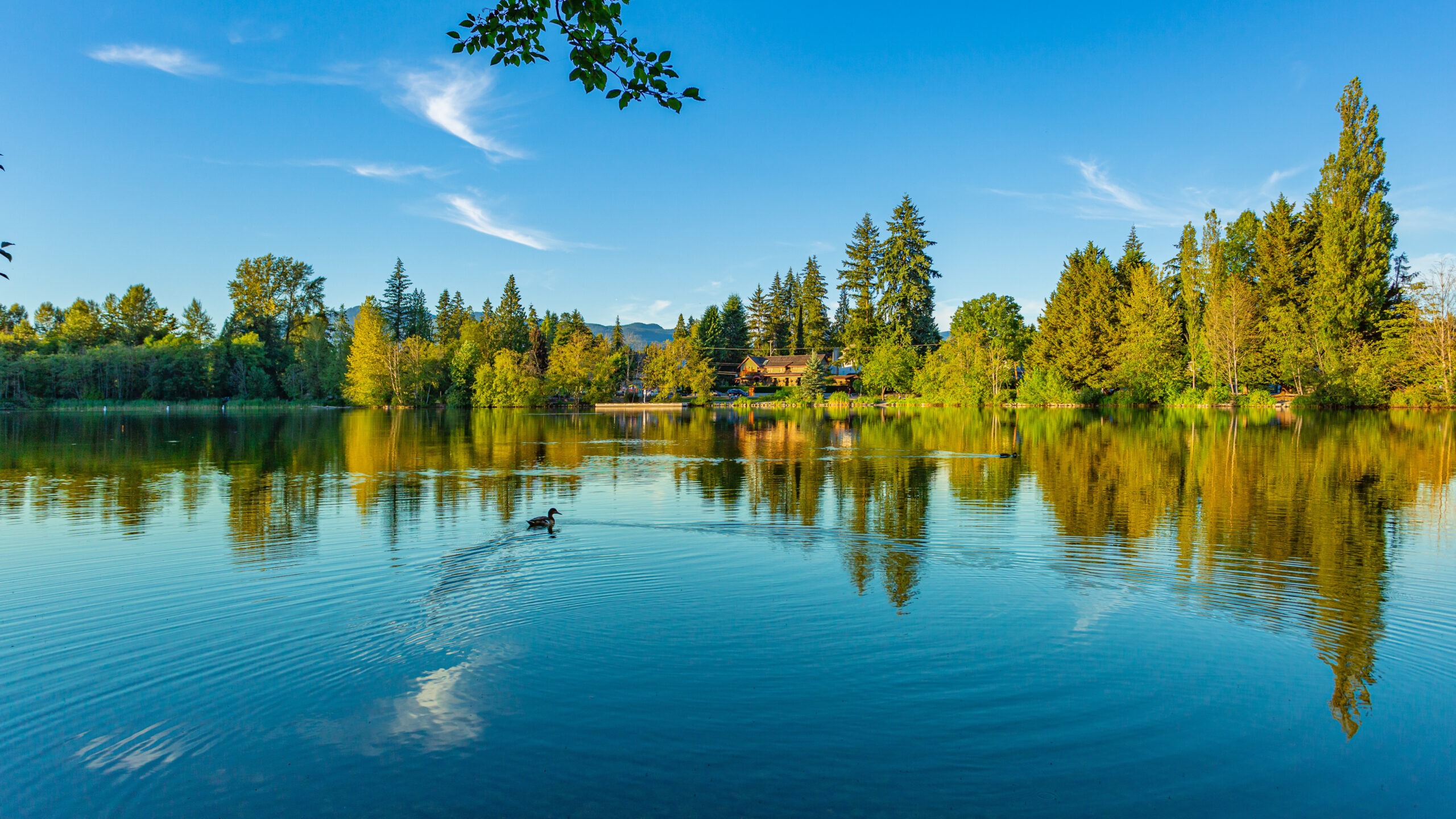 Golden afternoon view of the water at Como Lake Park in Coquitlam