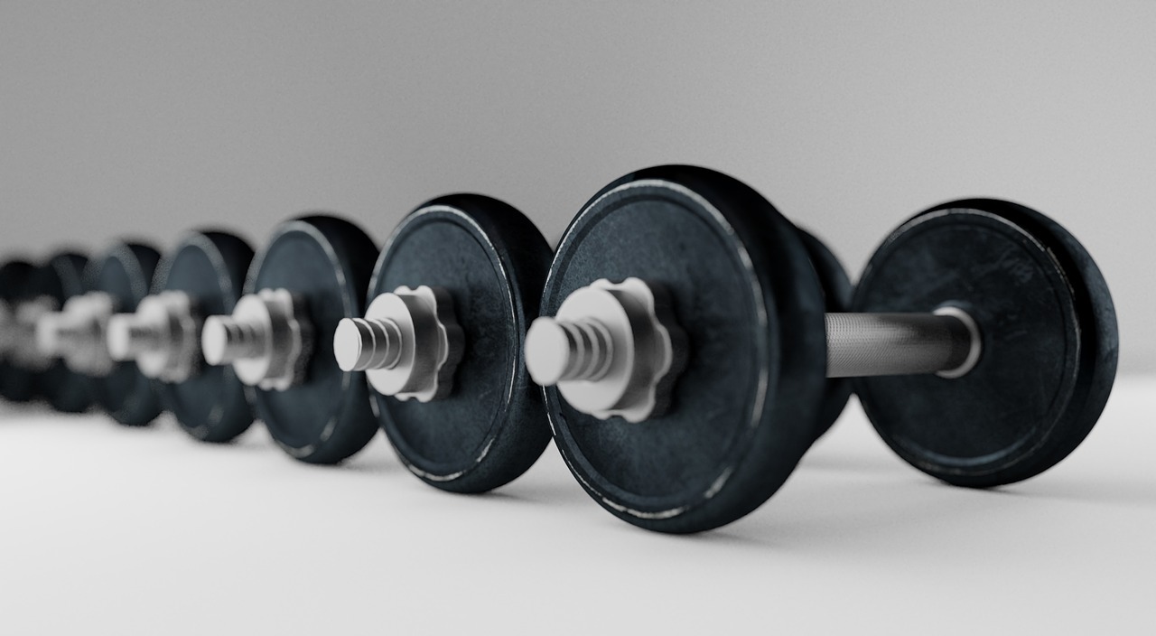 dumbbells for exercising