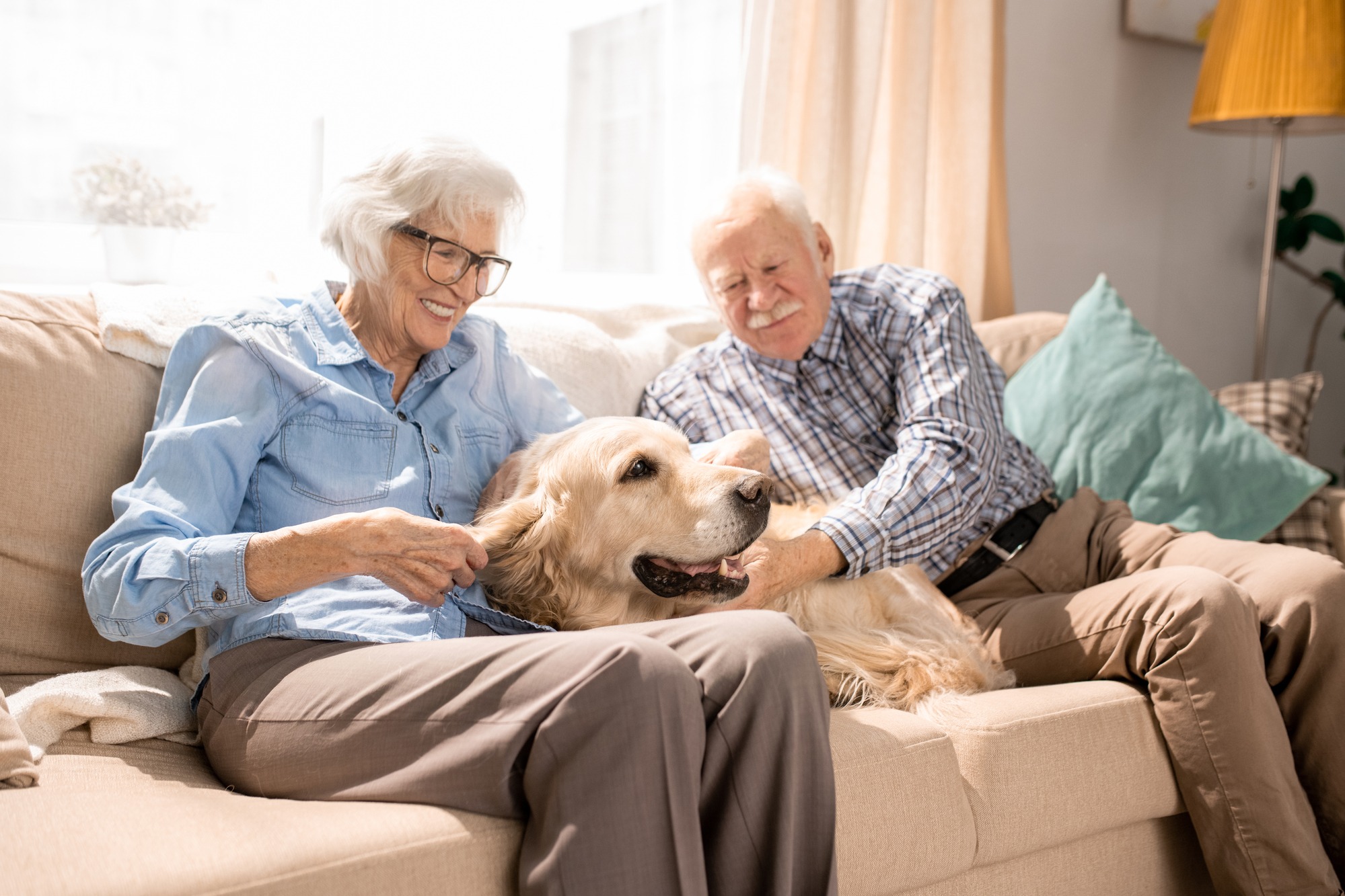 Portrait of happy senior couple with their dog sitting on the couch enjoying the weekend at home
