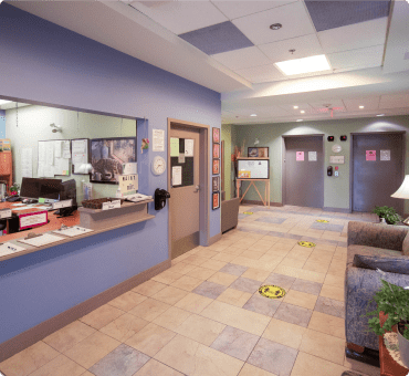 Peacful lavender foyer with elevators and the reception/ front office at the Earl Haig Retirement Residence