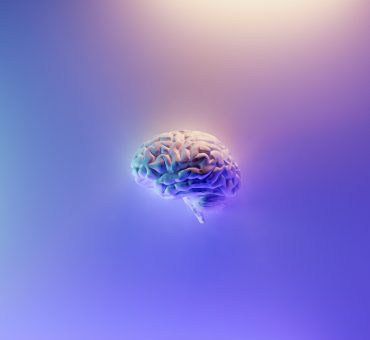 Representation of a human brain on a pretty pastel background